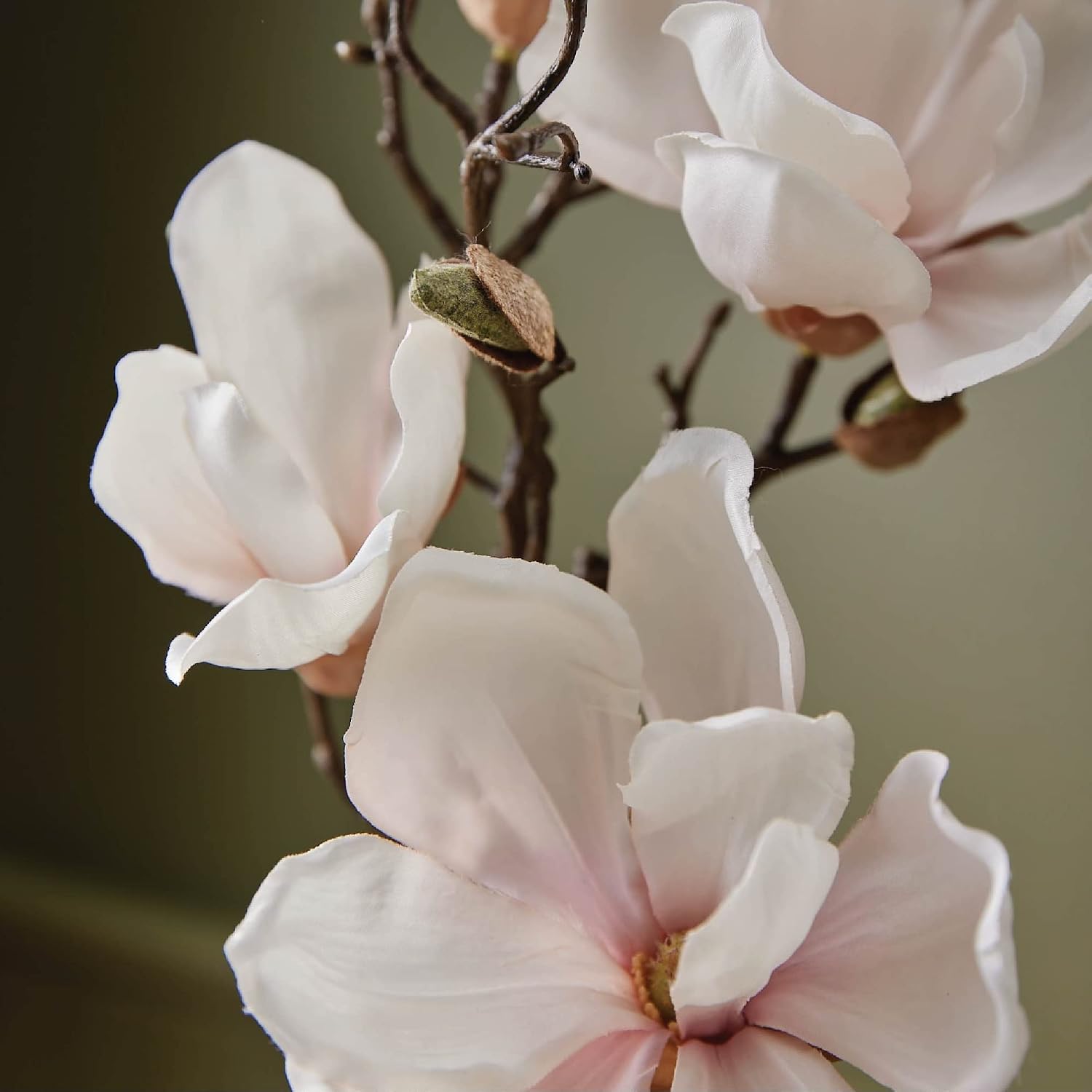 Thymes Magnolia Willow Room Sp - Home & Bathroom Building Products Pte Ltd ulasan dan harga