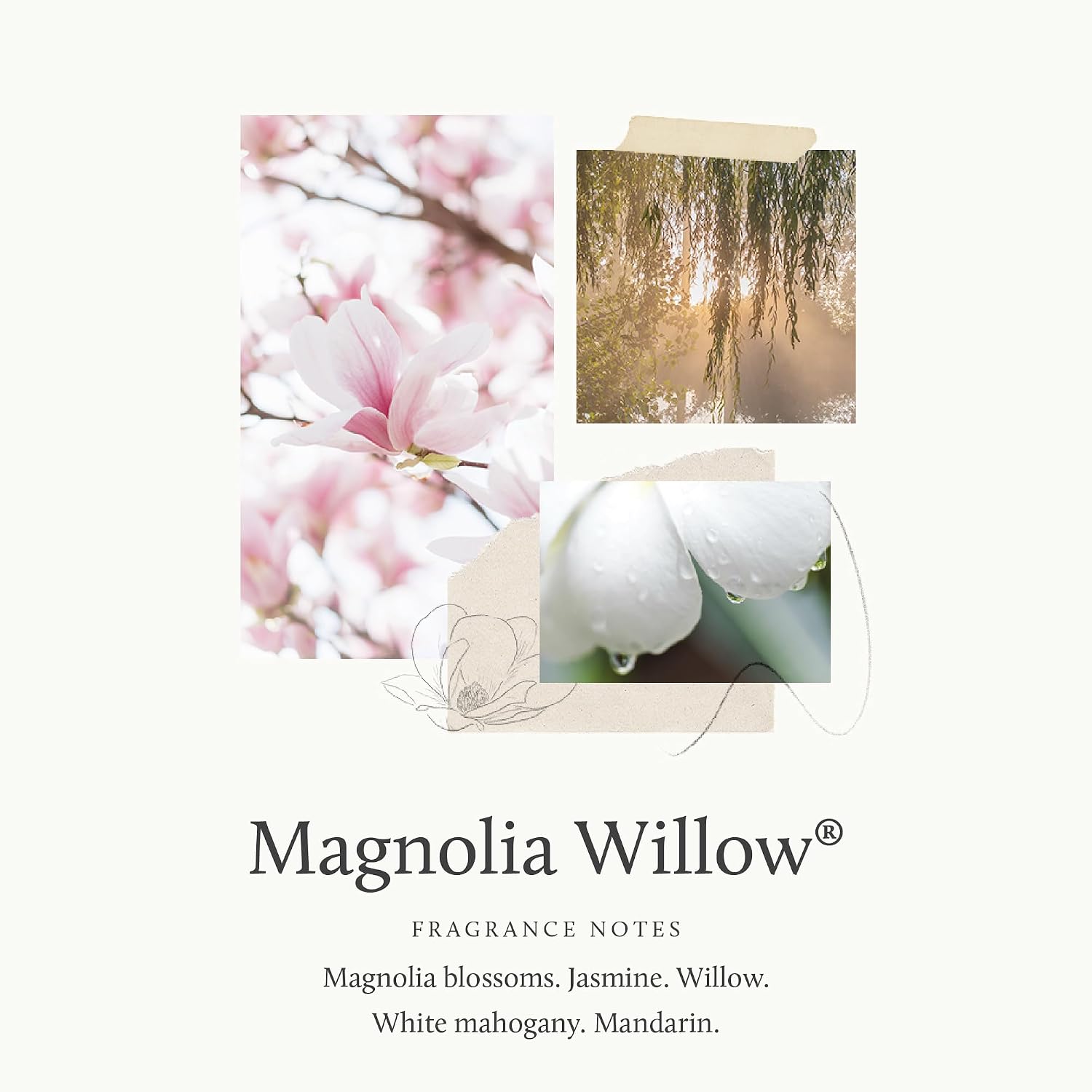 Thymes Magnolia Willow Room Sp - Home & Bathroom Building Products Pte Ltd ulasan dan harga