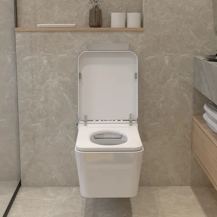 Kloset Pintar Gantung Dinding  - Home Bathroom Ware ulasan dan harga